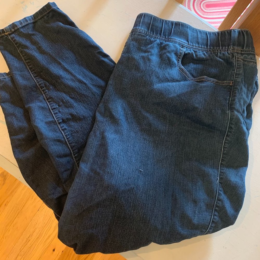 Torrid Plus Size Pull On Jeans 4R